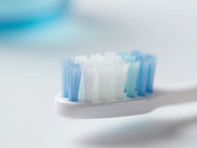 Jak vybrat správný kartáček pro optimální dentální hygienu: Kompletní průvodce